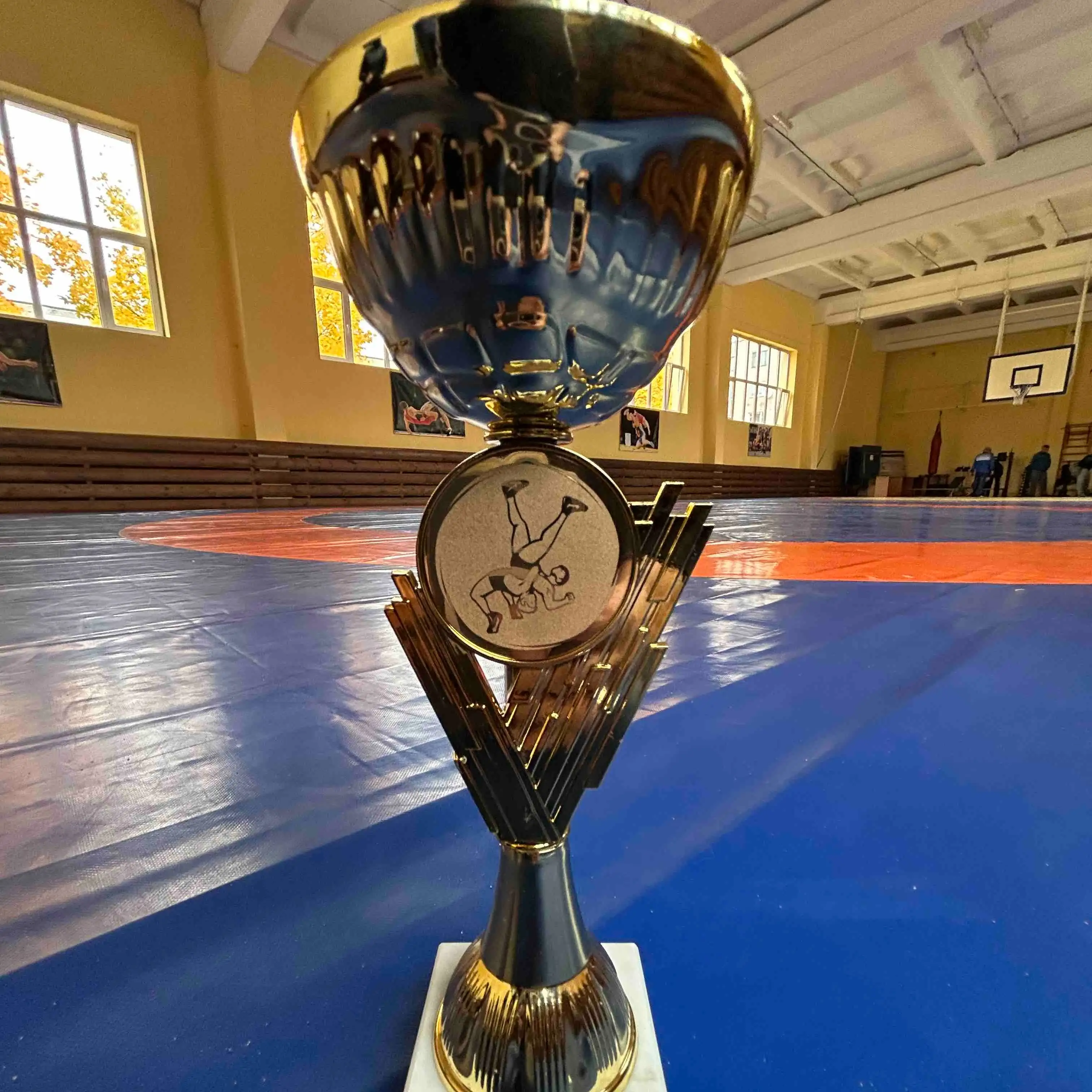 Спартакиада ДЮСШ, СДЮШОР Могилевской области